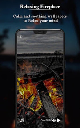 Imagen 3 para Relaxing Fireplace:Burnin…