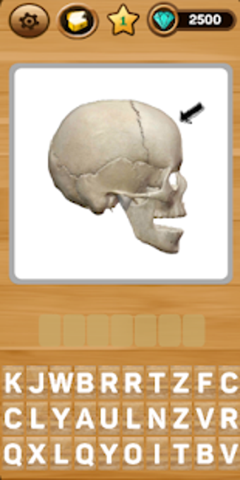 Image 3 for Descobrindo Anatomia