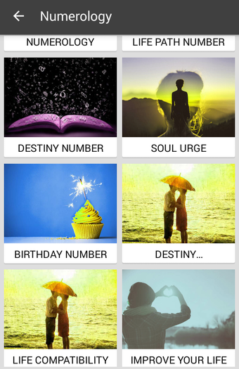 Image 2 for Palm Reader Scan Your Fut…