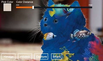 Imagen 1 para Chroma Background Changer…