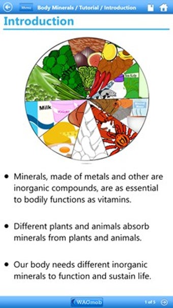 Imagen 0 para Minerals 101 by WAGmob