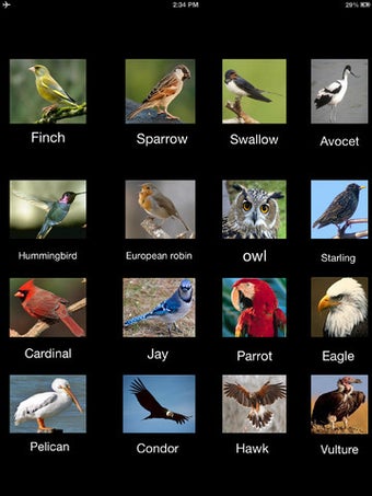 Image 0 for Birds Sound Effects