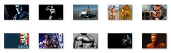 Image 0 for Arnold Schwarzenegger Win…
