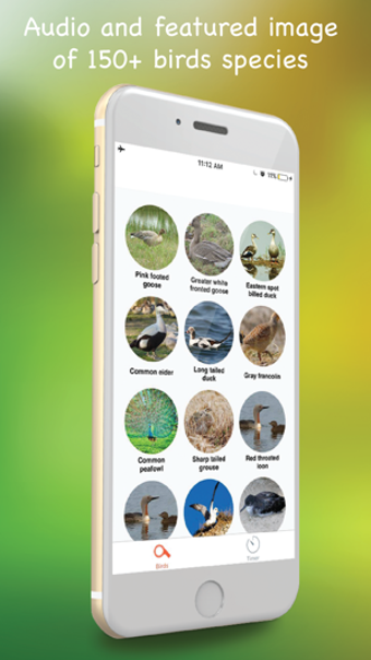 Image 1 for Bird Calls: SoundBoards o…