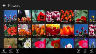Imagen 0 para Picasa MX for Windows 8