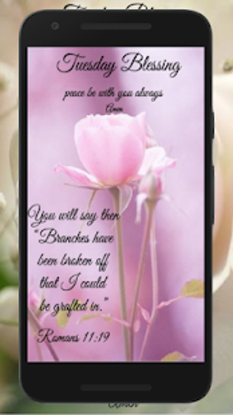 Image 0 for Daily Blessings : Monday …