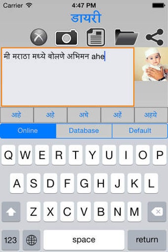 Image 0 for Marathi Diary