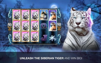 Image 1 for Slots Super Tiger Casino …