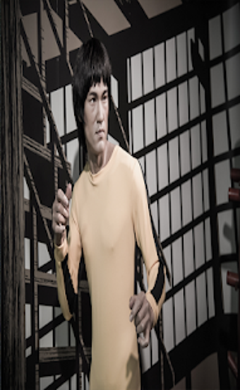 Image 1 for Best Movies For Bruce Lee