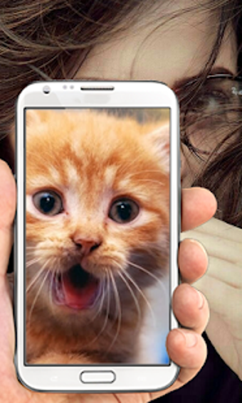 Image 0 for Which Animal Are You? Wha…