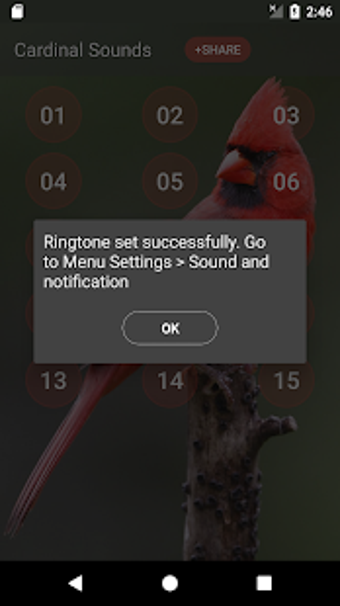 Image 0 for Cardinal bird sounds