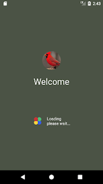 Image 3 for Cardinal bird sounds