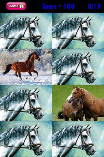 Image 0 for Horse Matching - Puzzle M…