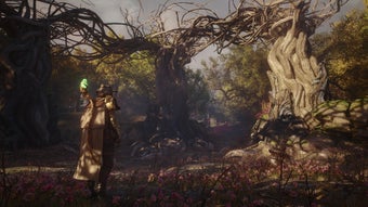 Image 3 for SoulFrame