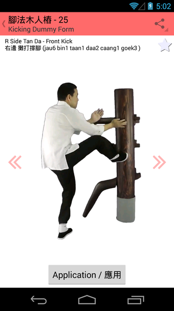 Image 0 for Wooden Dummy Kicking Form