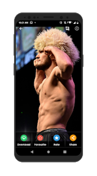 Imagen 2 para UFC Wallpaper
