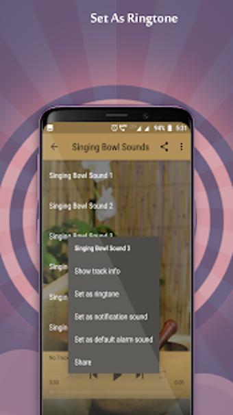 Imagen 2 para Singing Bowl Sounds