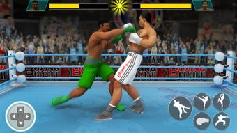 Image 1 for Ninja Punch Boxing Warrio…