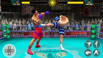 Image 2 for Ninja Punch Boxing Warrio…