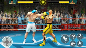 Image 1 for Ninja Punch Boxing Warrio…