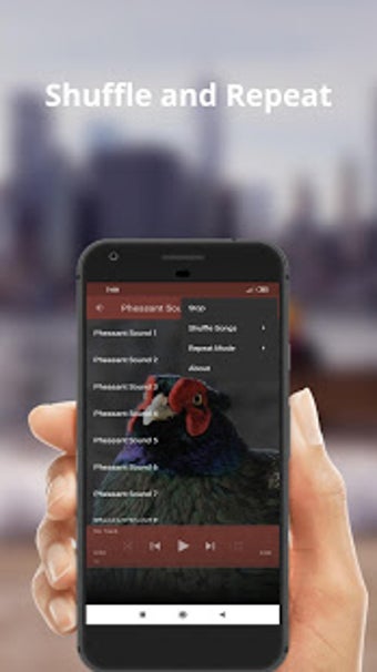 Image 0 for Pheasant Sounds - Rington…