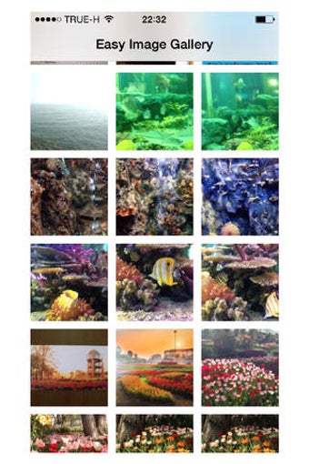 Image 0 for Easy Image Gallery