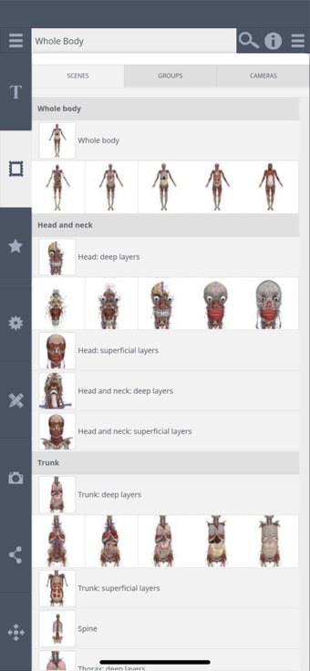 Image 1 for Whole body: 3D real-time