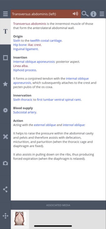 Image 3 for Whole body: 3D real-time