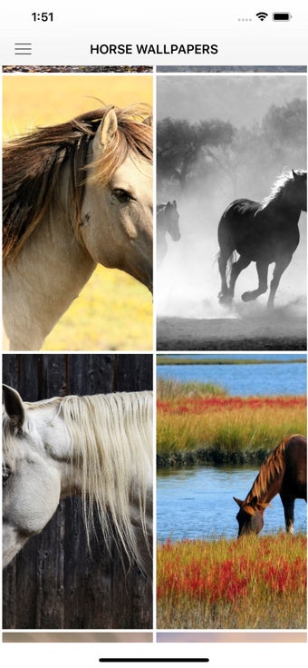 Image 2 for Horse Wallpapers & Backgr…