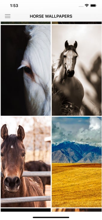 Image 3 for Horse Wallpapers & Backgr…
