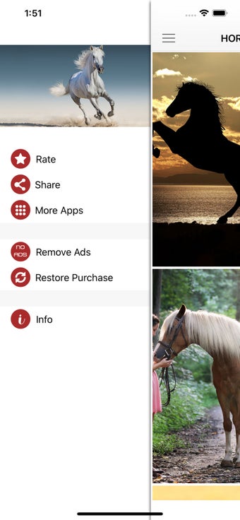 Image 2 for Horse Wallpapers & Backgr…