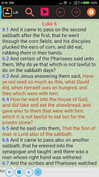Imagen 1 para King James Version Red Le…