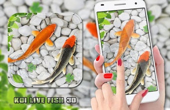 Imagen 1 para Fish Live Wallpaper 2018:…