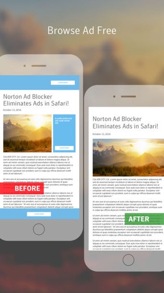 Image 0 for Norton Ad Blocker: Browse…