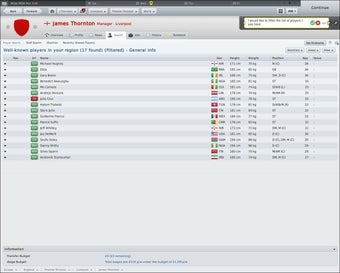 Imagen 12 para Football Manager 2011 Str…
