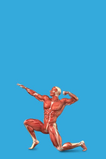 Imagen 0 para Student Muscle & Bone Ana…