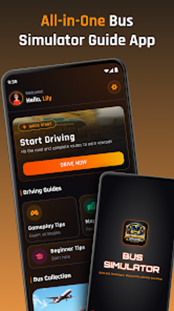 Image 0 for BUS Simulator Tips  Guide