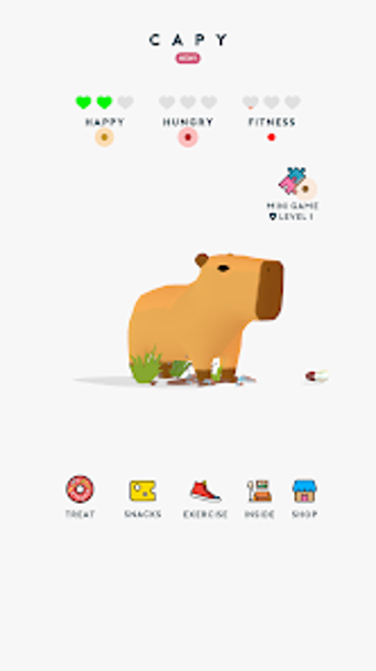 Image 0 for Capy - Pet Capybara