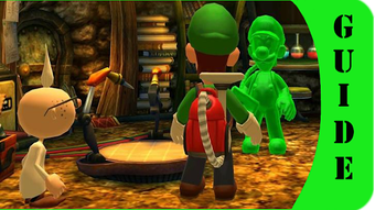 Image 0 for Guide for Luigi and Mansi…