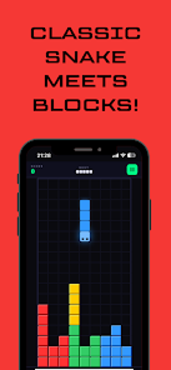 Image 0 for Snetris: Snakes  Blocks