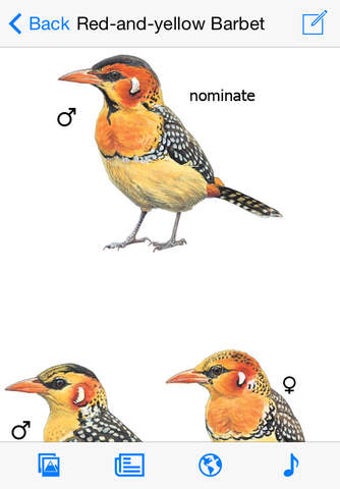 Image 0 for eGuide to Birds of East A…