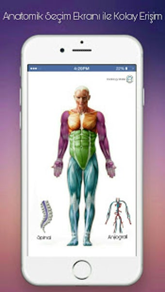 Image 0 for Radiology Master (Tomogra…