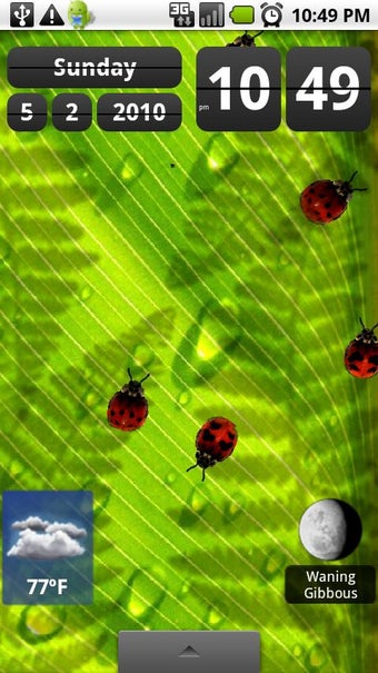 Imagen 1 para Friendly Bugs Live Wallpa…