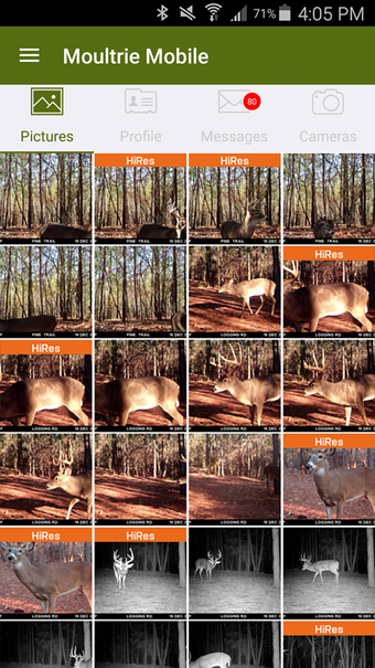 Image 2 for Moultrie Mobile