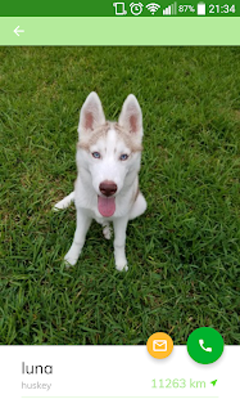 Image 0 for Pets Adoption: Adopt Dog,…