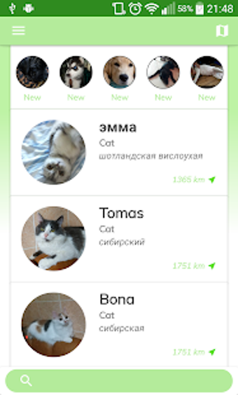 Image 3 for Pets Adoption: Adopt Dog,…