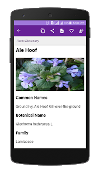 Image 3 for Herbs Dictionary