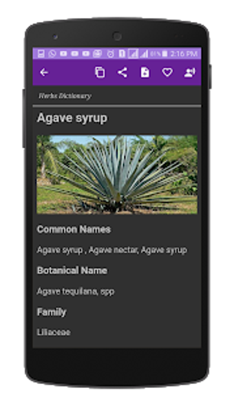 Imagen 2 para Herbs Dictionary