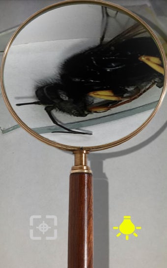 Image 0 for Magnifying Glass Realisti…