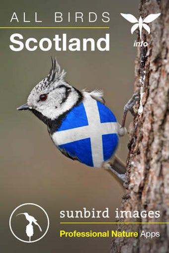 Image 0 for All Birds Scotland - A Co…